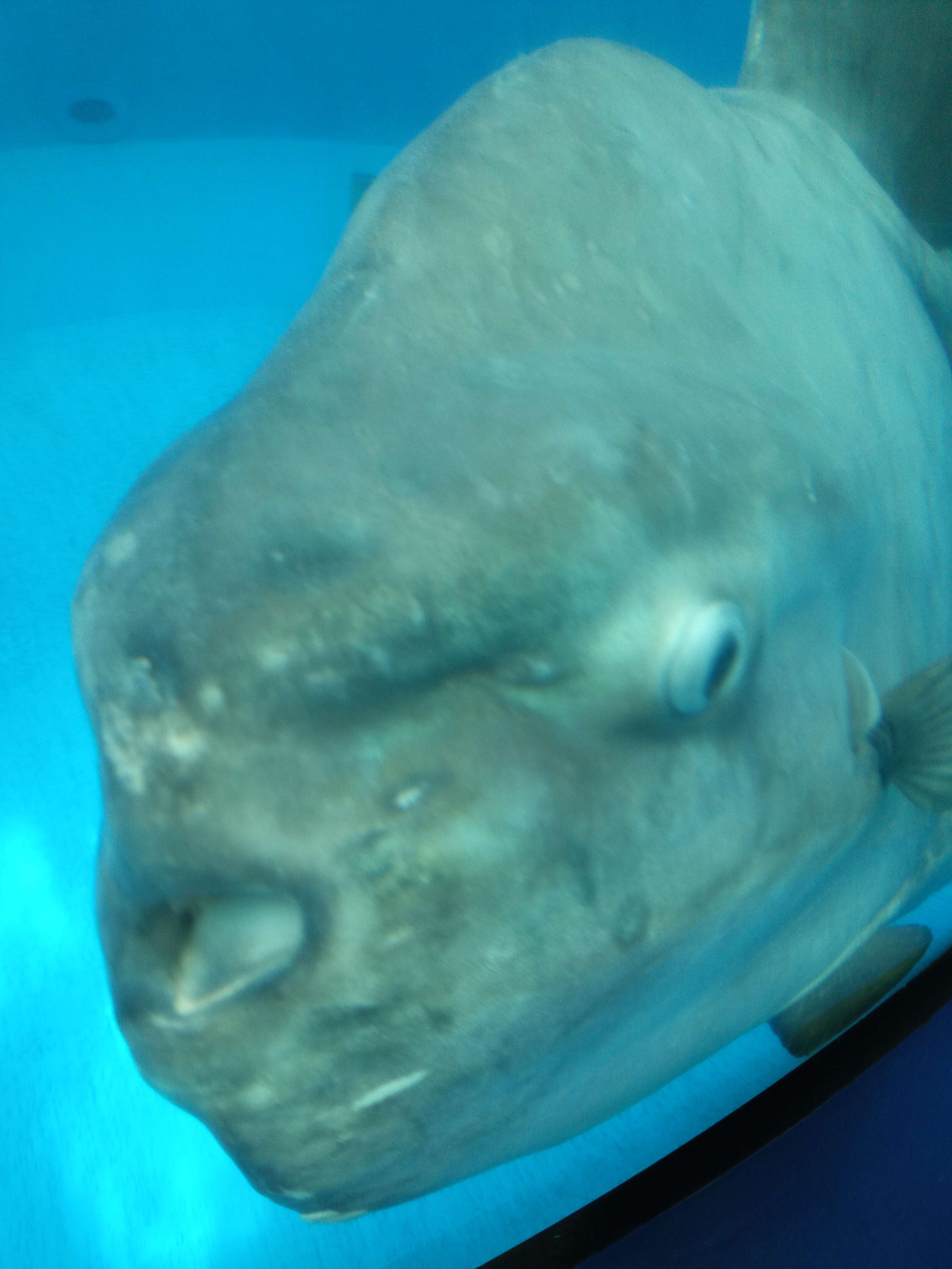 はじめまして、卍です。